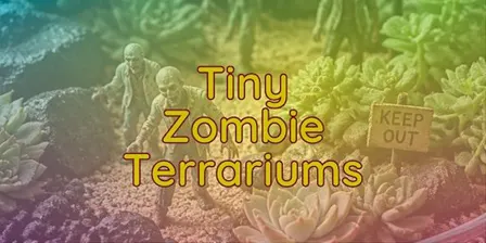 Tiny Zombie Terrarium Workshop