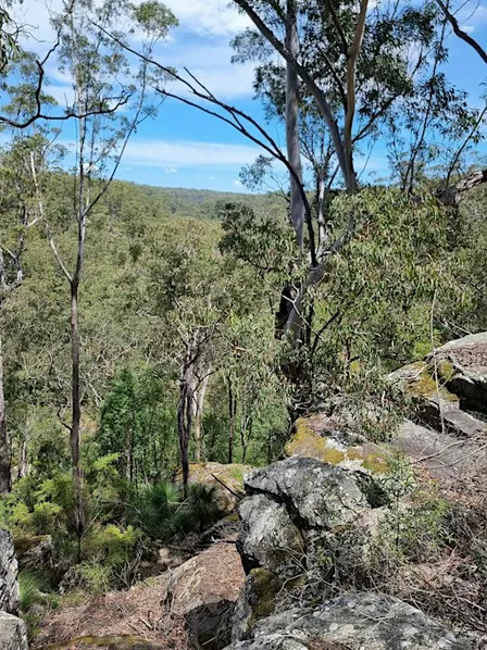 Bushcare Big Day Out