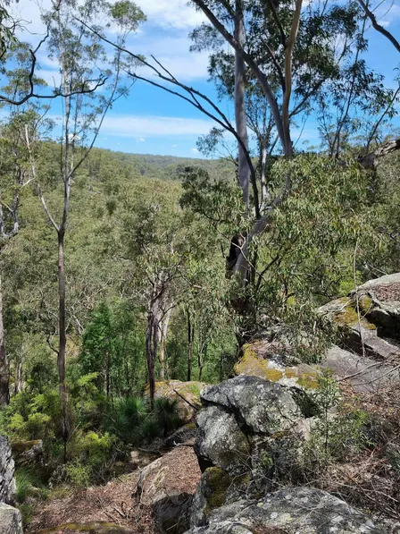 Bushcare Big Day Out
