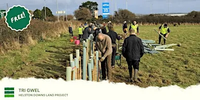 Helston Downs Tree Planting