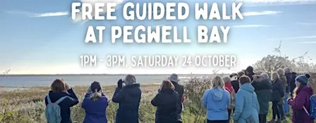 Free beginners walk at Pegwell Bay NNR