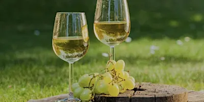 Pinot Passport - Same Grape Different World