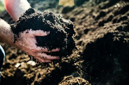 Compost giveaway