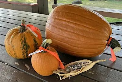 Saturday at the Garden: Fall Harvest Event