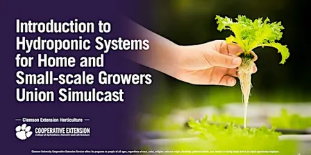 Intro to Hydroponic Systems for Home & Small-Scale Growers Union Simulcast