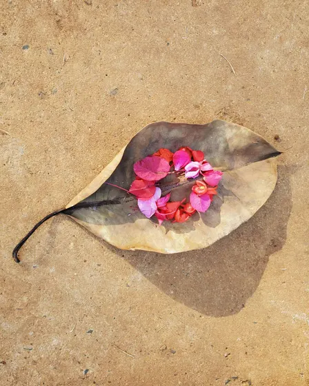 Honouring Diasporic Grief: Water