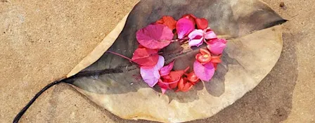 Honouring Diasporic Grief: Water