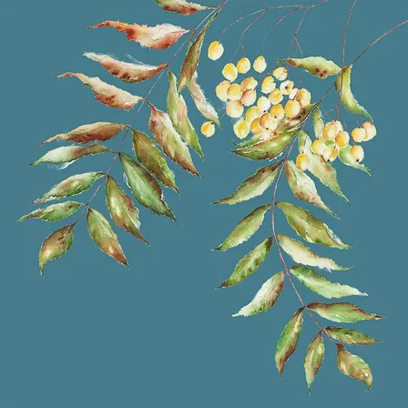 Festive Floral Art Watercolour Workshop