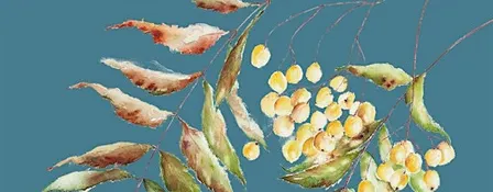 Festive Floral Art Watercolour Workshop