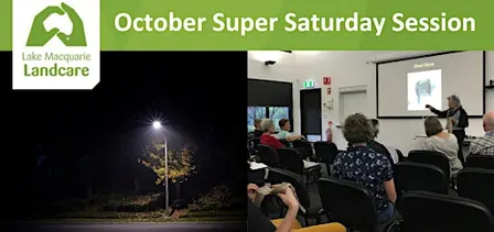 Super Saturday Session: Dark Skies and Snake Awareness