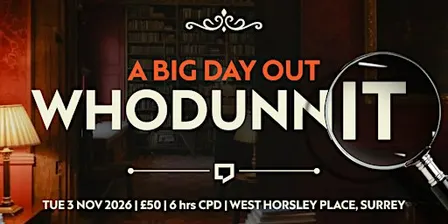 A Big Day Out Whodunnit
