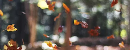 The Invisible Threads: Exploring the Connections that Shape Us