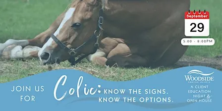 Colic:  Know the Signs.  Know the Options