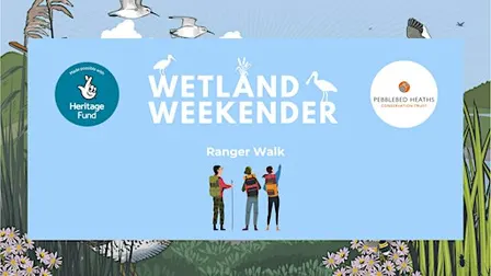 Wetland Weekender: Otter Estuary Ranger Walk