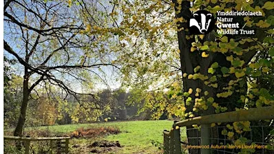 Gwent Wildlife Trust AGM 2026