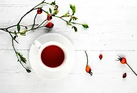Meeting the Herb - Rosehip