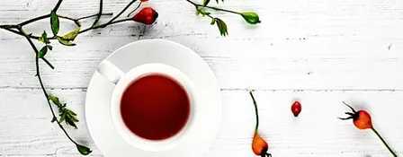 Meeting the Herb - Rosehip