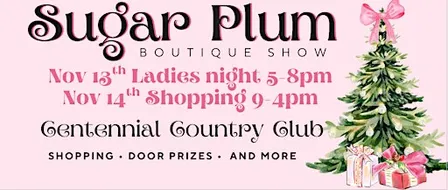 Sugar Plum Boutique Show Ladies Night