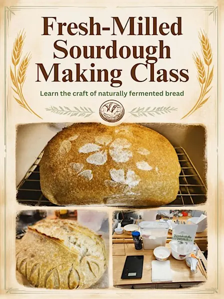 Fresh-Milled Sourdough Making Class