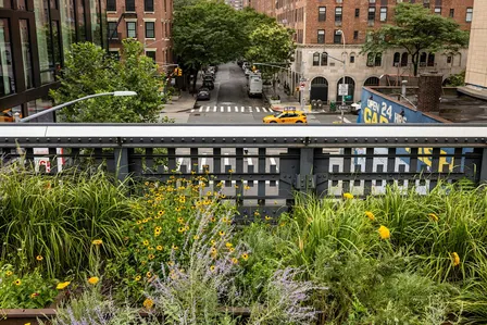 Plants Can Save the World: Green Space Solutions for a Resilient Future