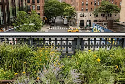 Plants Can Save the World: Green Space Solutions for a Resilient Future