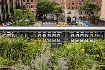 Plants Can Save the World: Green Space Solutions for a Resilient Future