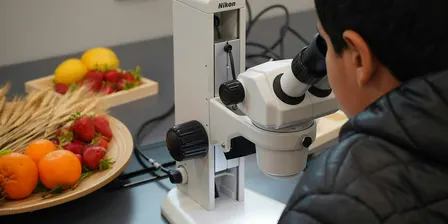 ALLEATI VERDI: UN'INDAGINE SCIENTIFICA NEL MONDO DELLE PIANTE | 6-9 anni