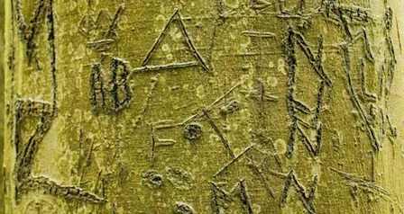 Living Writing: Monthly Creative Writers’ Meetup