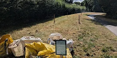 Meadow Cutting and Raking at Follaton House