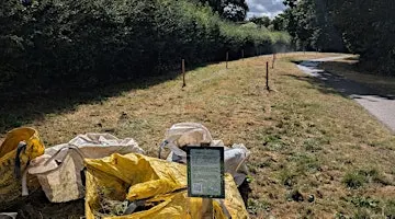 Meadow Cutting and Raking at Follaton House