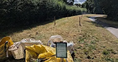 Meadow Cutting and Raking at Follaton House