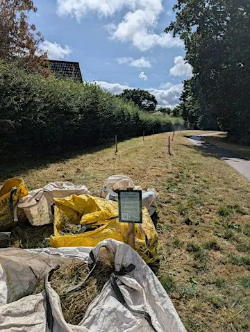 Meadow Cutting and Raking at Follaton House