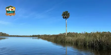 Spruce Creek Hike