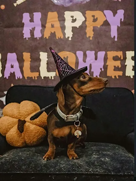 Sausage Fest - Spooky Sausage Scare Fest