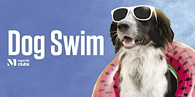 Dog Swim (Towson)