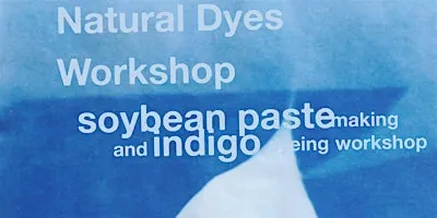 Natural Dye Workshop