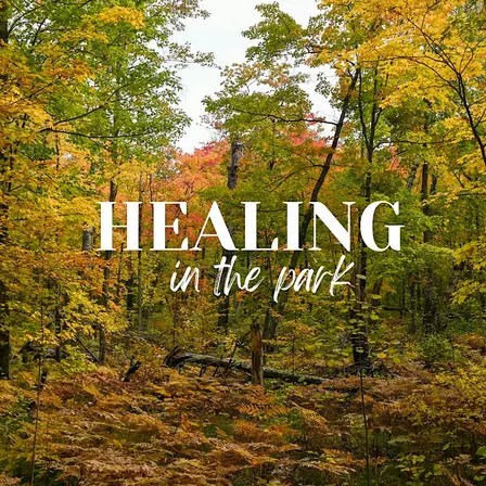 Healing in the Park: S3| Receiving Openly