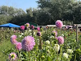 Monterey Bay Chapter - Paint/Sculpt-Out at Common Roots Farm