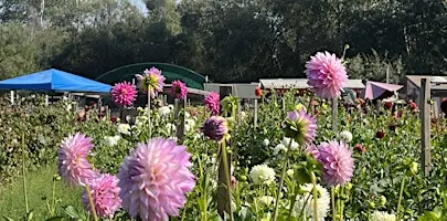 Monterey Bay Chapter - Paint/Sculpt-Out at Common Roots Farm