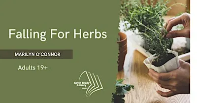 Falling Into Herbs
