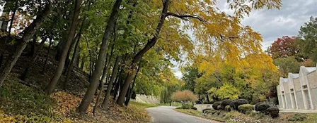 Fall Tree Walk at Elmwood Cemetery