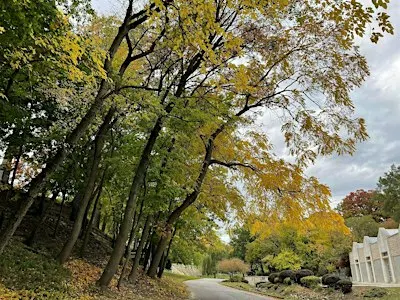 Fall Tree Walk at Elmwood Cemetery
