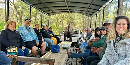 Forestry and Conservation Eco-buggy Tour: Morning