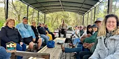Forestry and Conservation Eco-buggy Tour: Morning
