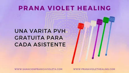 Curso GRATUITO en  BARCELONA de Prana Violet Healing -17 Octubre 2026