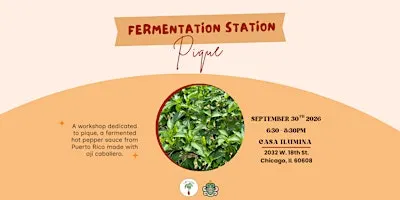 Fermentation Station: Pique