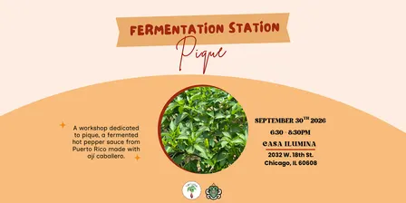 Fermentation Station: Pique