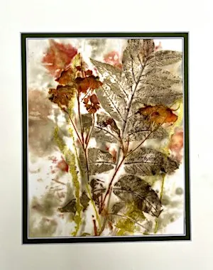 Eco-Printing: Making Prints Using Leaves and Flowers Session #1