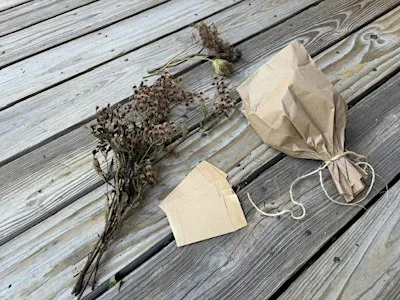Collecting and Saving Seeds for Perennial Gardens - Session #1