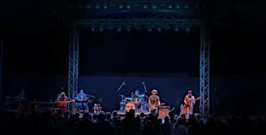 The Tom Petty Project